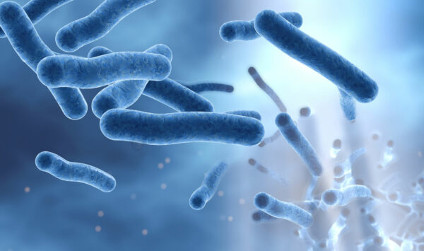 Legionella Testing - NoVA Environmental Solutions